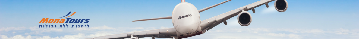 בלוג מונה טורס