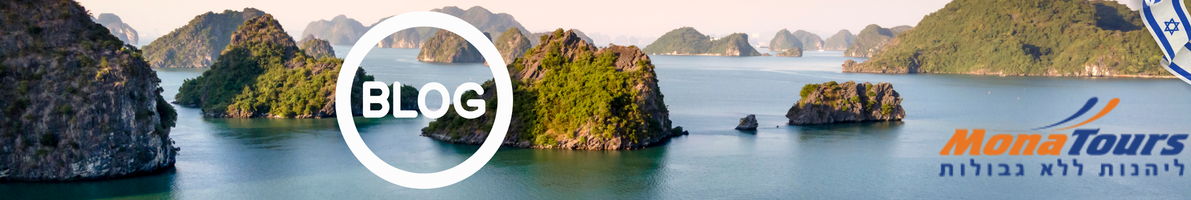 בלוג מונה טורס